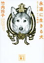 【中古】永遠に生きる犬 / 竹内玲子(3)