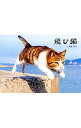 【中古】飛び猫 / 五十嵐健太