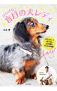 【中古】がんばれ!盲目の犬レディ / 山本博(1962−)(3)