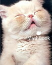 【中古】MashBook / 岡野瑞恵