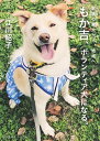 【中古】もか吉、ボランティア犬になる。 / 江川紹子