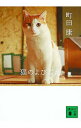 【中古】猫のよびごえ / 町田康