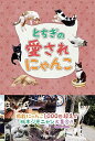 【中古】とちぎの愛されにゃんこ / 下野新聞社