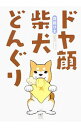 【中古】ドヤ顔柴犬どんぐり / 宮路ひま