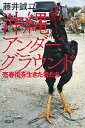 【中古】沖縄アンダーグラウンド / 藤井誠二