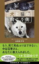 【中古】犬と猫の向こう側 / 山田あかね