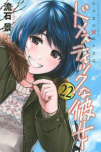 【中古】ドメスティックな彼女 22/ 流石景