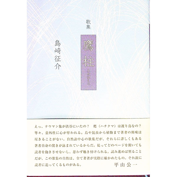 【中古】鷹柱 / 島崎征介 (単行本)