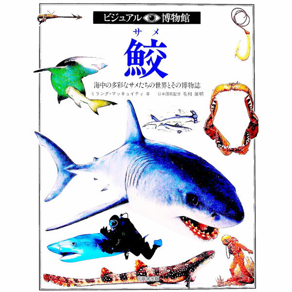 楽天市場】ビジュアル博物館（人文・地歴・社会｜本・雑誌・コミック