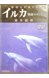 ����šۥ��륫��ʪ��ΤϤ��ޤ� / ����¾