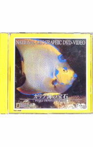 &nbsp;&nbsp;&nbsp; ナショナル・ジオグラフィック−カリブ海の宝石− の詳細 発売元: ビームエンタテイメント カナ: ナショナルジオグラフィックカリブ / トーシバ ディスク枚数: 1枚 品番: TDLT0008 リージョンコード: 発売日: 2001/03/25 映像特典: 関連商品リンク : TOSHIBA ビームエンタテイメント