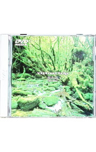 ����š�virtual��trip�������� / ��BGV��