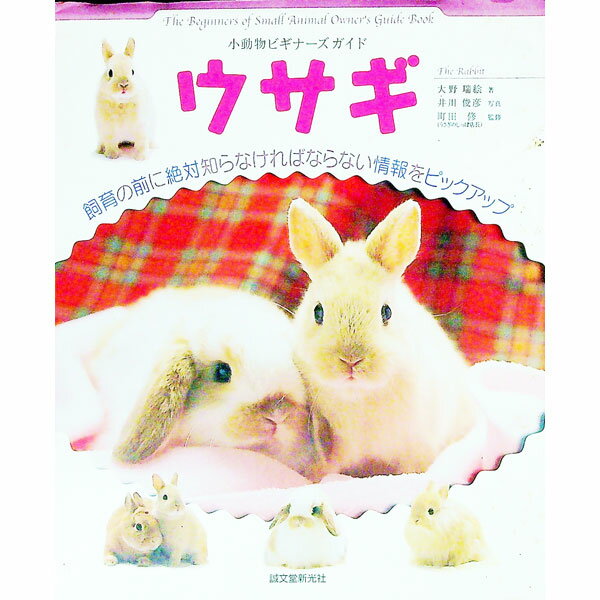 【中古】ウサギ / 大野瑞絵