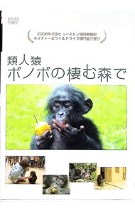 【中古】類人猿ボノボの棲む森で / 兼井孝之【プロデューサー】