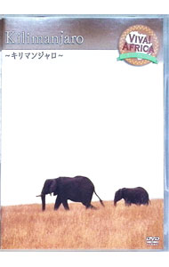 ����šۥӥС����եꥫ��VOL��5�֥���ޥ󥸥���� / ����¾