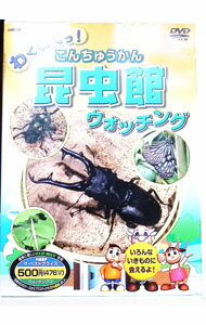 ����šۤ勞�勞�á�����ۡʤ�����夦����˥����å��� / ����δ������νб��