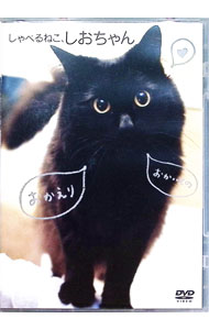 ����šۤ���٤�ͤ������������ / ����¾