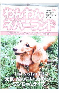 【中古】わんわんネバーランド Vol．12 ワンちゃんのトラブル・保険 / 嘉門洋子【出演】