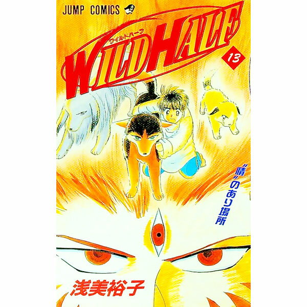 【中古】WILD　HALF 13/ 浅美裕子