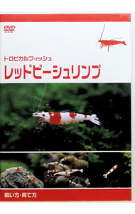 【中古】レッドビーシュリンプ　飼い方・育て方 / 中野小百合【出演】
