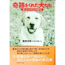 【中古】奇跡をくれた犬たち / 篠原淳美