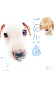 Book, Catalog - 【中古】ごめんね / 森田米雄 (単行本)