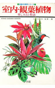 【中古】室内・観葉植物　楽しみ方と相談 / 坂梨一郎 (単行本)