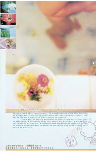 【中古】ニライカナイの日々 / 森岡尚子 (単行本)