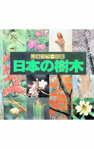 Botany - 【中古】日本の樹木　山溪カラー名鑑 / 林弥栄 (単行本)