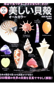 【中古】美しい貝殻 / 奥谷喬司