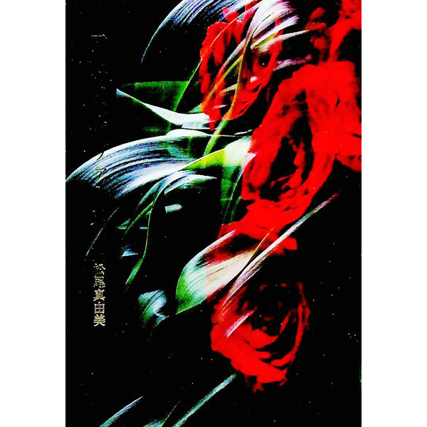 ����šۻ������������Υѥ������� / ������ͳ��