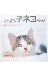 &nbsp;&nbsp;&nbsp; いたずら子ネコちゃん 単行本 の詳細 カテゴリ: 中古本 ジャンル: 女性・生活・コンピュータ 猫の本 出版社: ダイアプレス レーベル: 作者: 川木淳 カナ: イタズラコネコチャン / カワキジュン サイズ: 単行本 ISBN: 4924372153 発売日: 2002/12/01 関連商品リンク : 川木淳 ダイアプレス