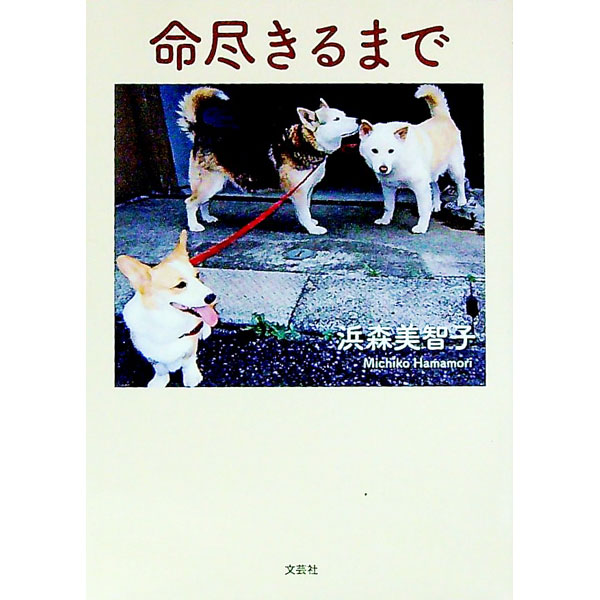 【中古】命尽きるまで / 浜森美智子 (文庫)