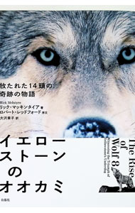 Zoology - 【中古】イエローストーンのオオカミ / McIntyreRick