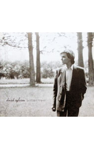 楽天市場】David Sylvian（CD・DVD）の通販