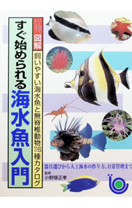 &nbsp;&nbsp;&nbsp; すぐ始められる海水魚入門 単行本 の詳細 カテゴリ: 中古本 ジャンル: 女性・生活・コンピュータ 熱帯魚の本 出版社: 主婦と生活社 レーベル: ひと目でわかる！図解 作者: 主婦と生活社 カナ: スグハジメラレルカイスイギョニュウモン / シュフトセイカツシャ サイズ: 単行本 ISBN: 4391119730 発売日: 1996/12/01 関連商品リンク : 主婦と生活社 主婦と生活社 ひと目でわかる！図解