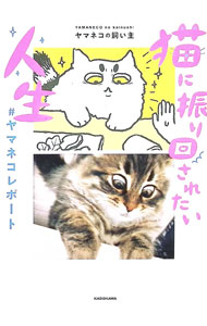 &nbsp;&nbsp;&nbsp; 猫に振り回されたい人生 (単行本) の詳細 出版社: KADOKAWA レーベル: 作者: ヤマネコの飼い主 サイズ: 単行本 ISBN: 4046850041 発売日: 2025/07/01 関連商品リンク : ヤマネコの飼い主 KADOKAWA