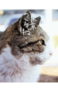 &nbsp;&nbsp;&nbsp; "東京のらねこ " の詳細 出版社: エクストラゴー レーベル: 作者: カヴァー カナ: トウキョウノラネコ / カヴァー サイズ: 単行本 関連商品リンク : カヴァー エクストラゴー