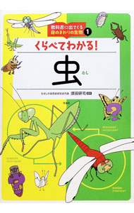 &nbsp;&nbsp;&nbsp; 教科書に出てくる身のまわりの生物 1 単行本 の詳細 2種類の虫のイラストを並べて、比べて、観察しよう！　「チョウとクモ、あしはどこがちがうかな？」などの問題と解説で、生きもの特徴を知ることができる。コピーして使える「くらべる！かんさつノート」付き。 カテゴリ: 中古本 ジャンル: 産業・学術・歴史 動物 出版社: 理論社 レーベル: 作者: いずもりよう カナ: キョウカショニデテクルミノマワリノセイブツ / イズモリヨウ サイズ: 単行本 ISBN: 4652204917 発売日: 2022/04/01 関連商品リンク : いずもりよう 理論社