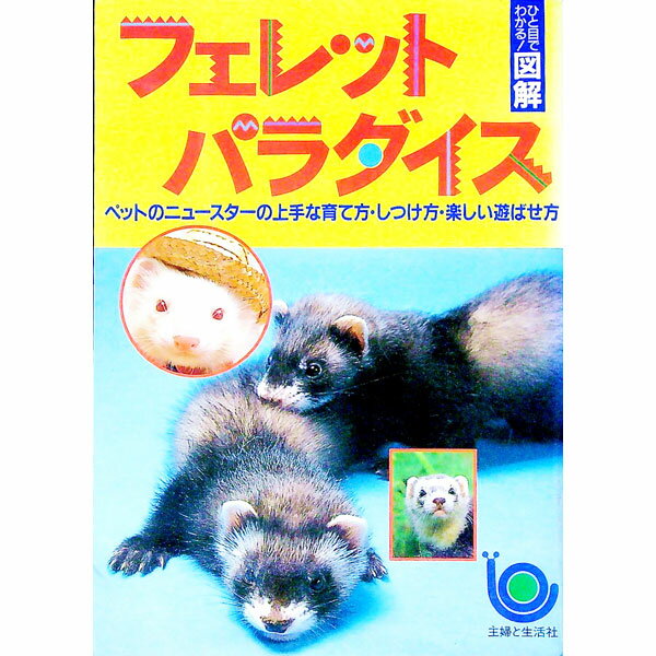 ����šۥե���åȥѥ������ / ���ؤ������