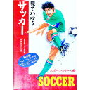 &nbsp;&nbsp;&nbsp; 見てわかるサッカー 単行本 の詳細 カテゴリ: 中古本 ジャンル: スポーツ・健康・医療 サッカー 出版社: 西東社 レーベル: スポーツ・シリーズ 作者: 西東社 カナ: ミテワカルサッカー / セイトウシャ サイズ: 単行本 ISBN: 4791600789 発売日: 1996/12/30 関連商品リンク : 西東社 西東社 スポーツ・シリーズ　