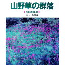 &nbsp;&nbsp;&nbsp; 山野草の群落 単行本 の詳細 カテゴリ: 中古本 ジャンル: 産業・学術・歴史 植物 出版社: 誠文堂新光社 レーベル: 作者: 大貫茂 カナ: サンヤソウノグンラク / オオヌキシゲル サイズ: 単行本 ISBN: 4416497032 発売日: 1997/02/01 関連商品リンク : 大貫茂 誠文堂新光社