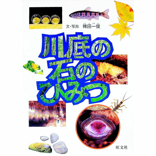 【中古】川底の石のひみつ / 稗田一俊