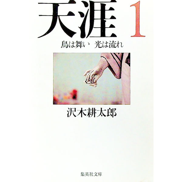 &nbsp;&nbsp;&nbsp; 天涯 1 文庫 の詳細 カテゴリ: 中古本 ジャンル: 女性・生活・コンピュータ 芸術・美術 出版社: 集英社 レーベル: 集英社文庫 作者: 沢木耕太郎 カナ: テンガイ / サワキコウタロウ サイズ: 文庫 ISBN: 4087472868 発売日: 2001/01/01 関連商品リンク : 沢木耕太郎 集英社 集英社文庫　
