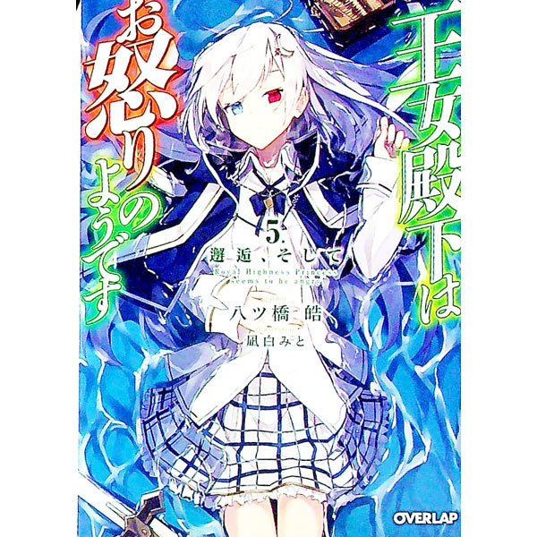 【中古】王女殿下はお怒りのようです(5)−邂逅、そして− / 八ツ橋皓 (文庫)