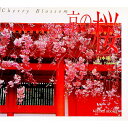 【中古】京の桜 / 山本建三