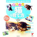 【中古】かわいい猫の育て方 / 長沢昭範