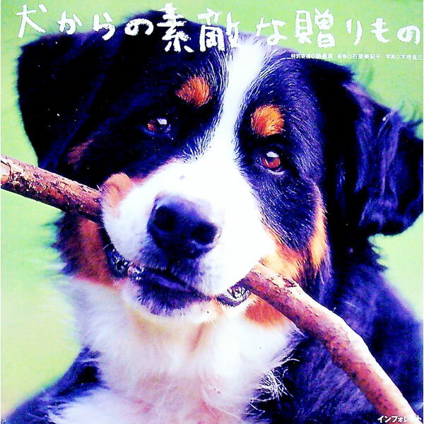 【中古】犬からの素敵な贈りもの / 石原美紀子【監修】