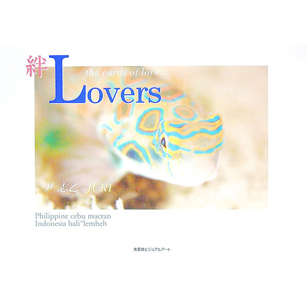 【中古】絆lovers / 尹志乙