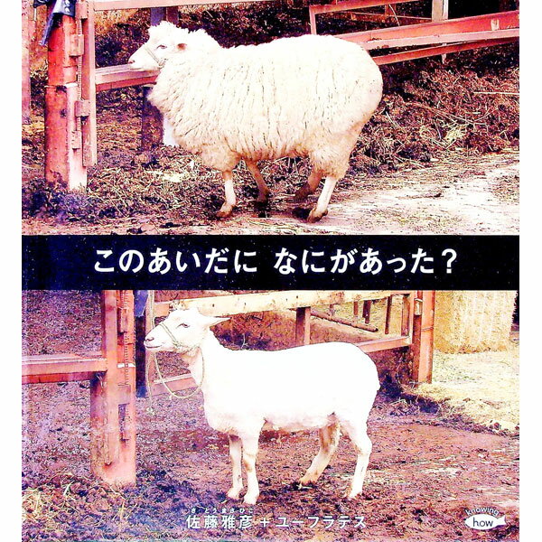 【中古】このあいだになにがあった？ / 佐藤雅彦（1954－）